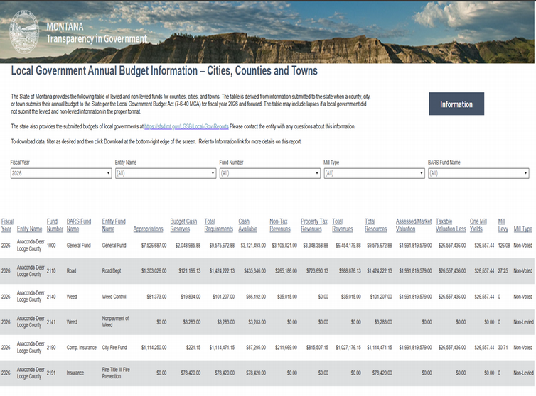 Local Government Annual Budget Information - Cities, Counties, and Towns